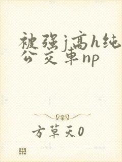 被强j高h纯肉公交车np