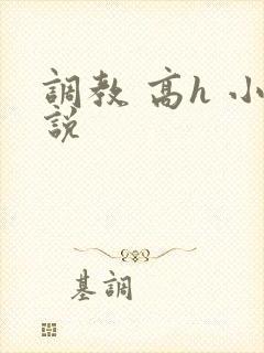 调教 高h 小说