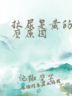 拉尿是黄的是什么原因