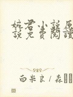 婉君小说原著小说免费阅读