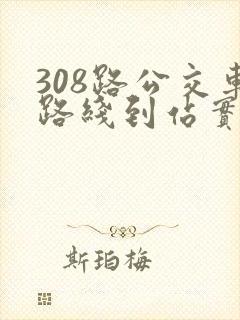 308路公交车路线到站实时查询