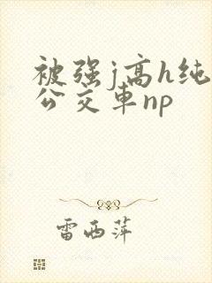 被强j高h纯肉公交车np