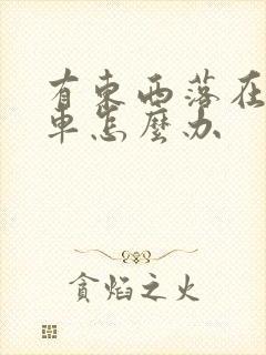 有东西落在公交车怎么办