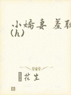 小娇妻 羞耻 (h)