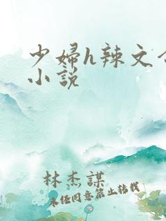 少妇h辣文合集小说
