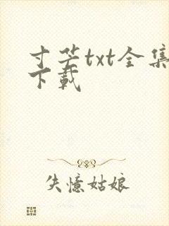 寸芒txt全集下载