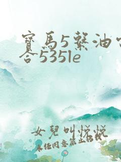 宝马5系油电混合535le