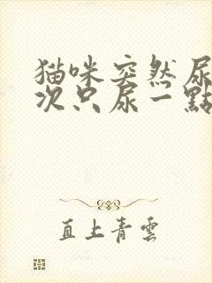猫咪突然尿频每次只尿一点怎么治疗