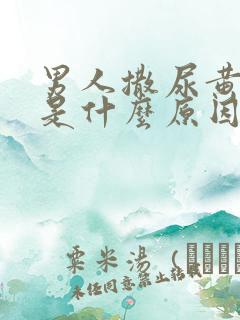 男人撒尿黄色的是什么原因引起的