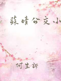 苏晴公交小说