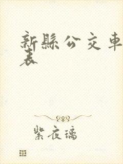 新县公交车时间表