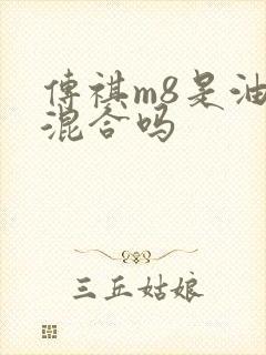 传祺m8是油电混合吗