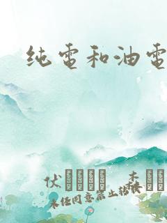纯电和油电混动