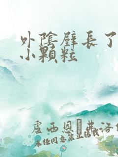 外阴壁长了很多小颗粒
