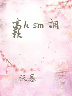 高h sm 调教