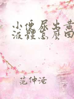小便尿出黄粘稠液体怎么回事