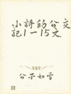 小诗的公交车日记1一15文