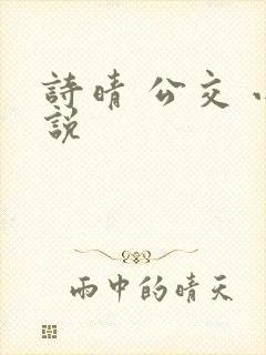 诗晴 公交 小说