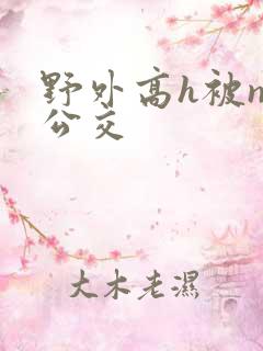 野外高h被np公交
