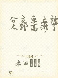 公交车上被陌生人蹭高潮了