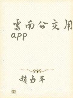 云南公交用什么app