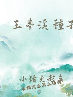 王梦溪 种子