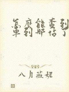怎么能查到公交车到哪站了