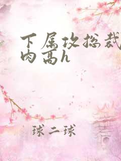 下属攻总裁受纯肉高h