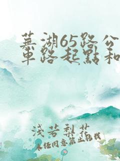 芜湖65路公交车路起点和终点