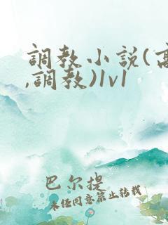 调教小说(高h,调教)1v1