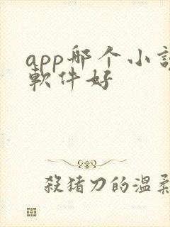 app哪个小说软件好
