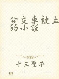 公交车被上高潮的小说