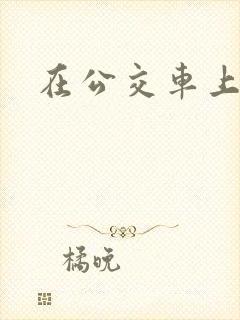 在公交车上激情