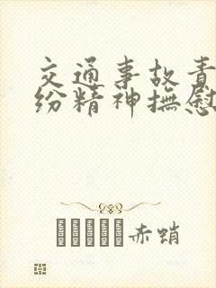 交通事故责任纠纷精神抚慰金