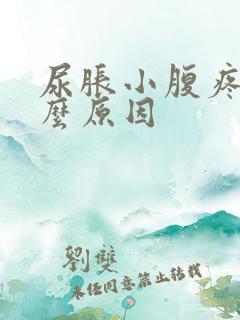尿胀小腹疼是什么原因