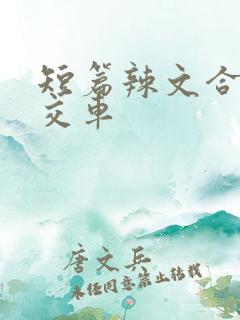 短篇辣文合集公交车