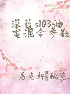 深蓝sl03油电混合参数