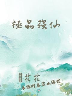 极品强仙