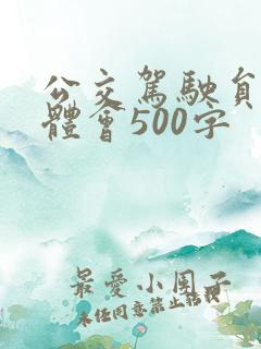 公交驾驶员心得体会500字