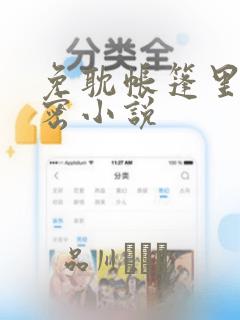 免耽帐篷里的秘密小说