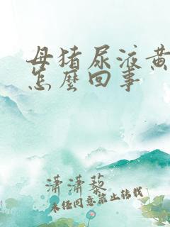 母猪尿液黄浑浊怎么回事