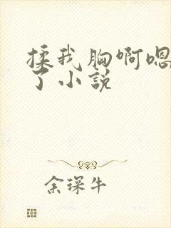 揉我胸啊嗯出奶了小说