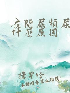 夜间尿频尿多是什么原因