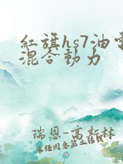 红旗hs7油电混合动力
