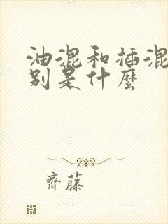 油混和插混的区别是什么