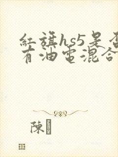 红旗hs5是否有油电混合版