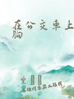 在公交车上被摸胸