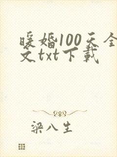 暖婚100天全文txt下载