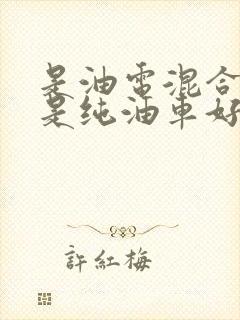 是油电混合好还是纯油车好
