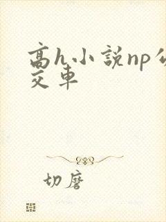 高h小说np公交车